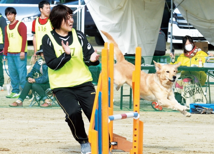 アジリティ競技会　競技を行う女子学生と学内犬